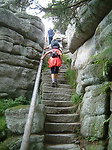 Eine Wanderung auf einen der Bayerwaldberge Lusen, Dreisessel, Rache oder Arber wird belohnt mit herrlicher Aussicht bis in die Alpen.