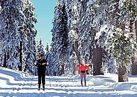 Langlaufen im Bayerischen Wald