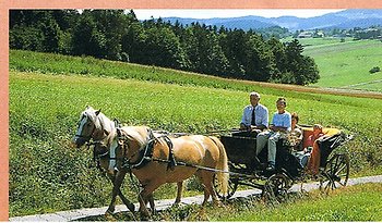 Ferienwohnungen Resch in Wegscheid