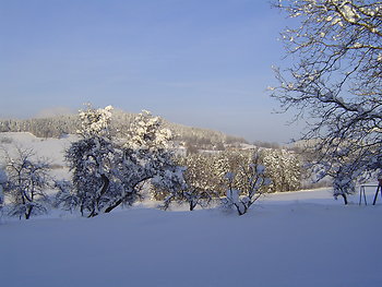Scholler Hof in Waldkirchen