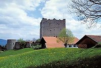 Burgruine Neunussberg