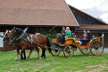 Bayerwald Ferienhof in Eppenschlag