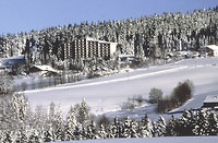 Haus Bayerwald in Neureichenau