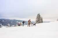 Hunderesort Waldeck in Philippsreut