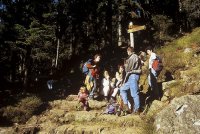 Erlebnis Nationalpark Bayerischer-Wald