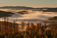Goldener Herbst im Bayerischen Wald