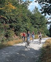 ****FAMILIENPAUSCHALE****