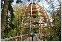 Wilde Wipfel-Wilde Klamm