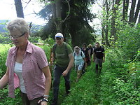 Wanderwoche am Nationalpark Bayerischer Wald