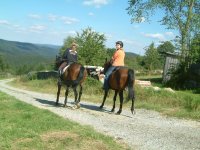 Reiturlaub im Bergdorf am Nationalpark Bayerwald