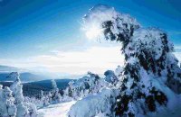 Wintertraum im Bayerischen Wald