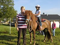 Schnupperreiten auf Islandpferden gratis