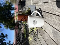 Wintersonne und Bauernhof hautnah erleben