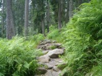 Wandern auf niederbayrisch